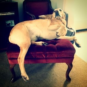 Meet your Posher, Laura